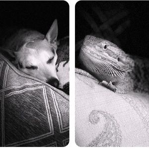 Meet your Posher, Courtney